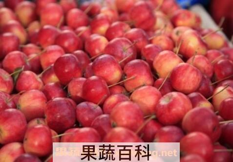 海棠果的功效与作用及食用方法