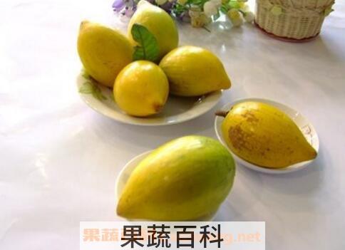 蛋黄果的功效与作用