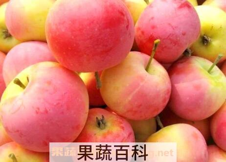 沙果的营养价值与功效作用