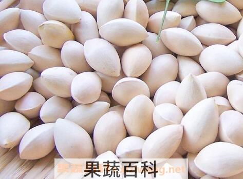 老树银杏果的功效