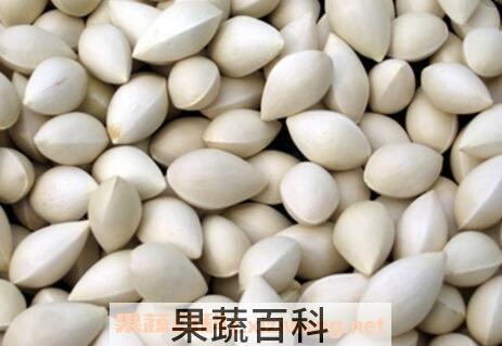 老树银杏果的功效