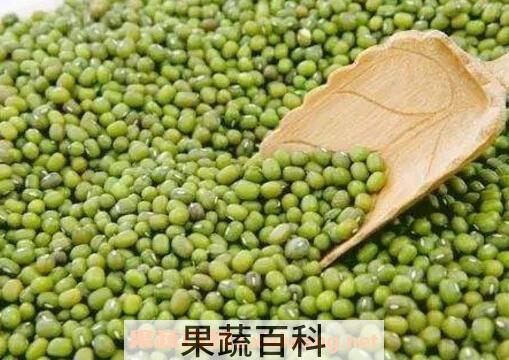 绿豆怎么煮容易烂 绿豆汤怎么做是绿色的