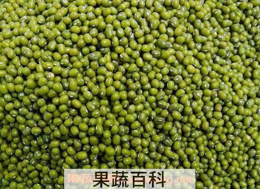 绿豆怎么煮容易烂 绿豆汤怎么做是绿色的