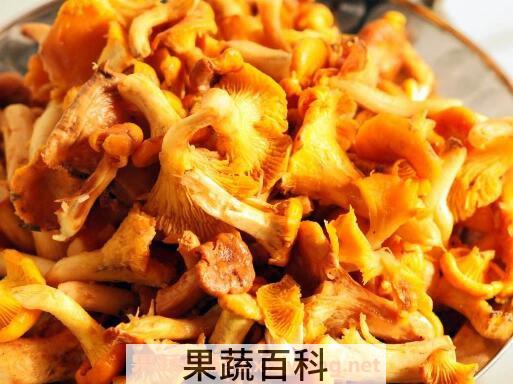 鸡油菌怎样做汤 鸡油菌的做法教程