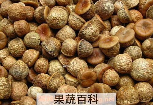 天然补肾果的功效