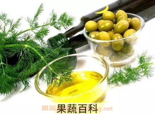 棕榈油的功效与作用 棕榈油的特点