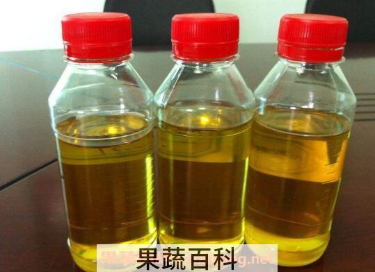 棕榈油的功效与作用 棕榈油的特点