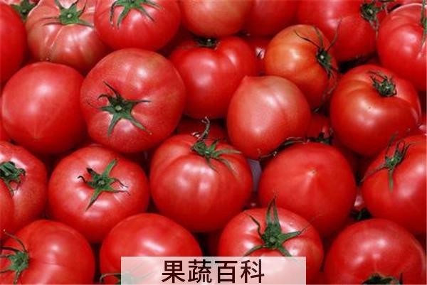 西红柿山药能一起吃吗
