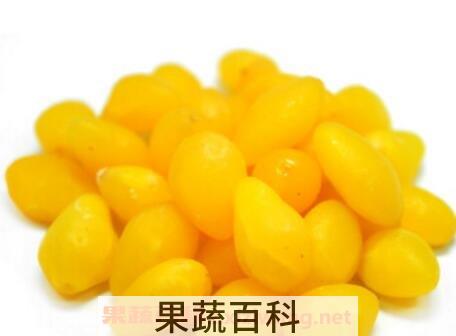 白果仁的功效与作用
