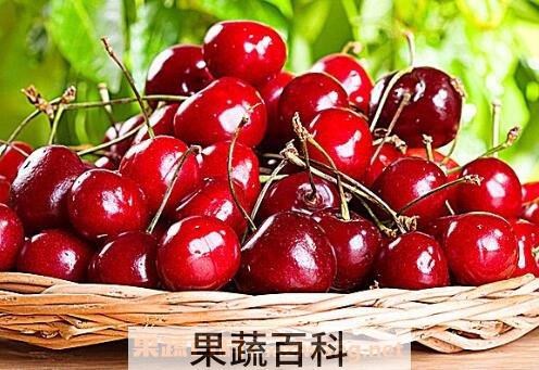 车厘子和樱桃有区别吗