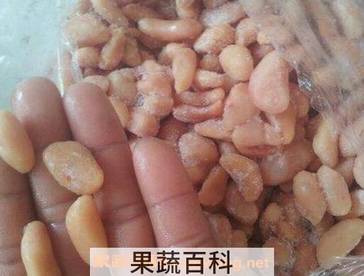 鸡腰子的功效与作用
