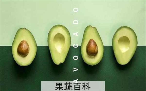 油梨果就是牛油果吗