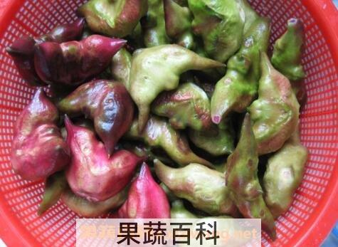 菱角怎么煮