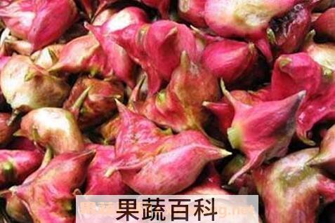 菱角怎么煮