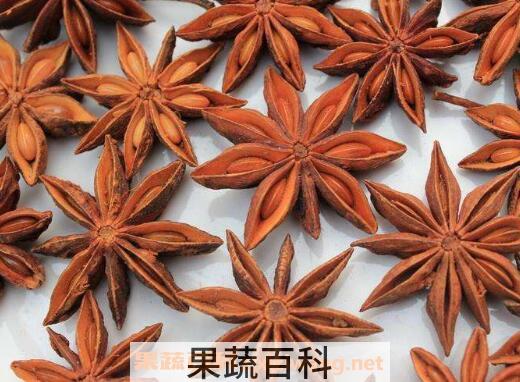 八角茴香的功效与作用及食用方法