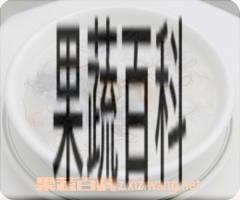 果蔬百科