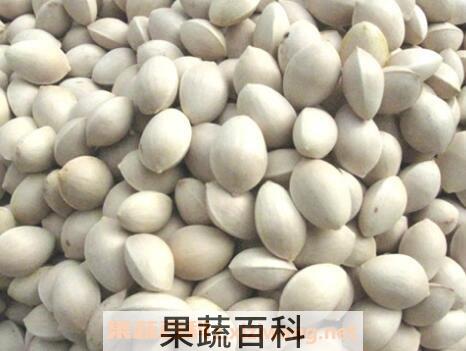  白果的药用价值有哪些