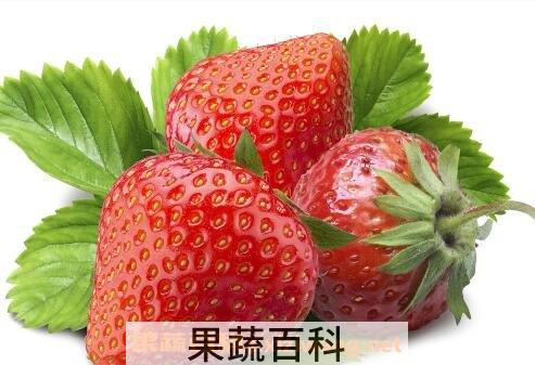 草莓的好处和功效有哪些
