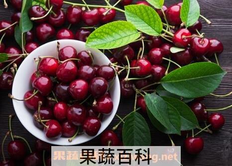 车厘子的营养价值有哪些