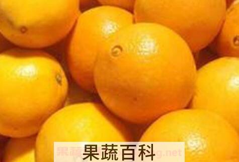 橙子不能和什么一起吃 吃橙子的禁忌