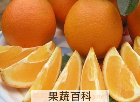 橙子不能和什么一起吃 吃橙子的禁忌