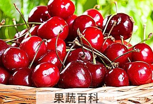 车厘子是什么 吃车厘子有什么好处