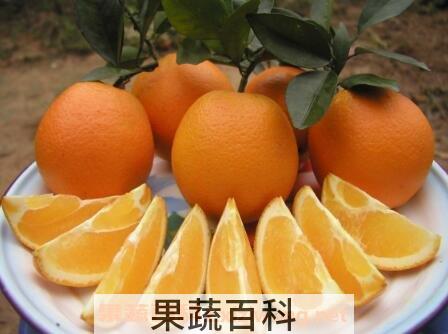 吃橙子有什么好处