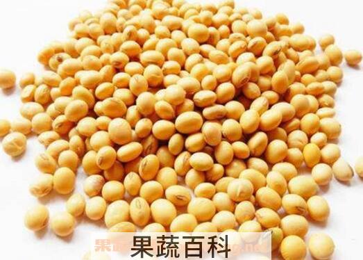 干豆的功效与作用