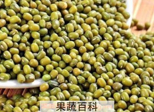 干豆的功效与作用