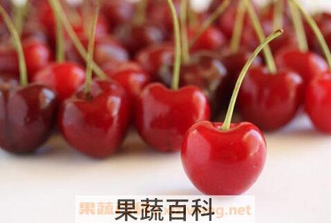 车厘子和樱桃有什么区别