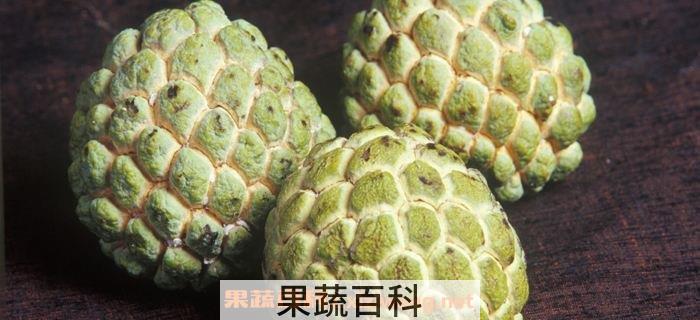 林檎
