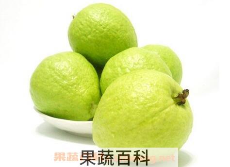 芭乐与番石榴的区别