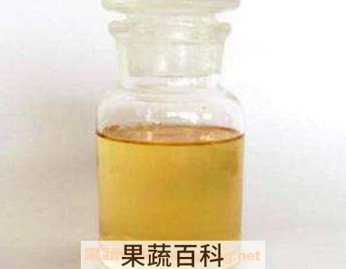 八角茴香油的功效与作用