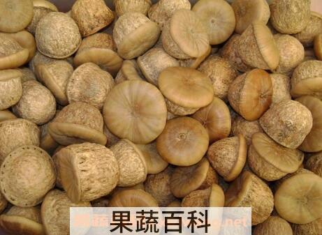 龟头子与风流果的区别
