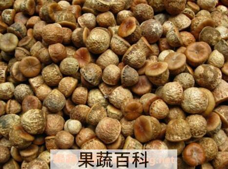 龟头子与风流果的区别