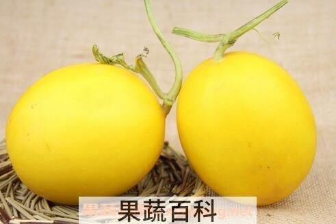 吃金蜜瓜有什么好处 金蜜瓜的功效与作用