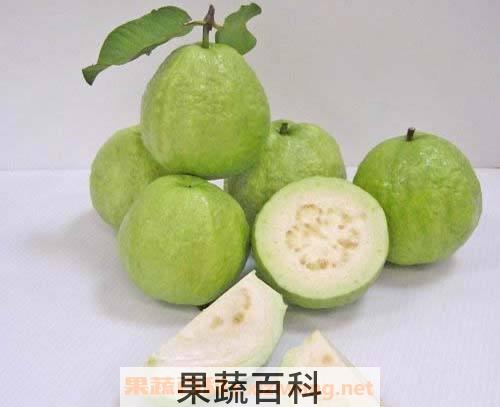 芭乐番石榴