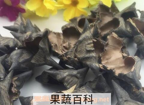 干菱角壳的功效与作用