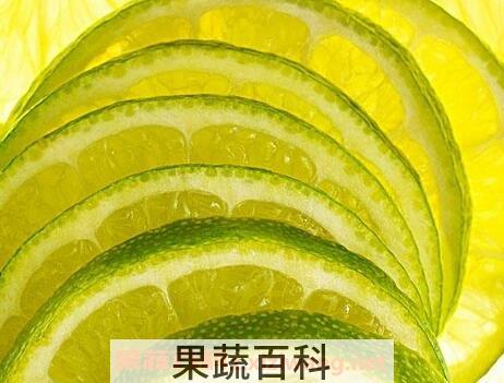 酸橙皮的功效与作用