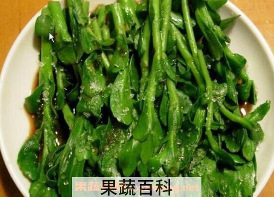 救心菜的功效与作用 救心菜的常见吃法