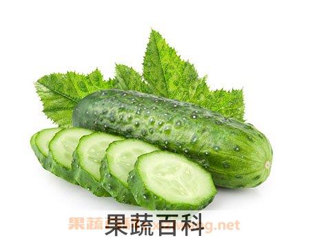 黄瓜营养价值
