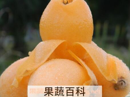 枇杷果的保存方法