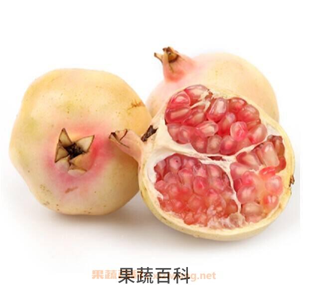 白石榴