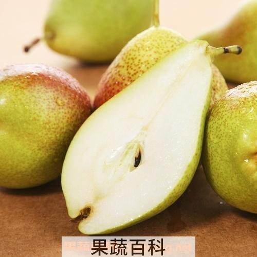 啤梨