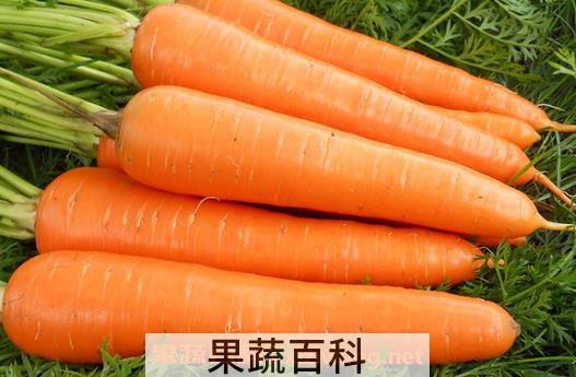 胡萝卜