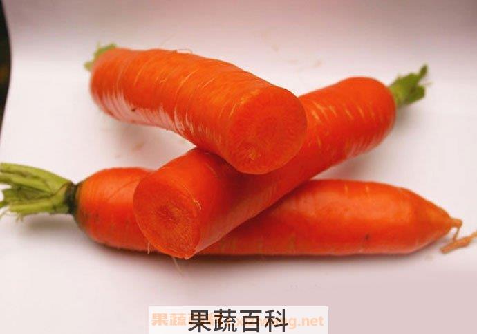 胡萝卜营养价值