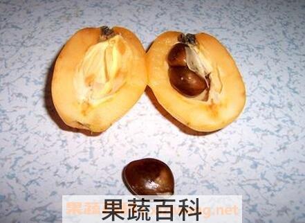枇杷果核可以吃吗 枇杷果核的功效