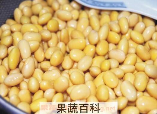 黄豆怎么去皮 黄豆去皮的方法技巧