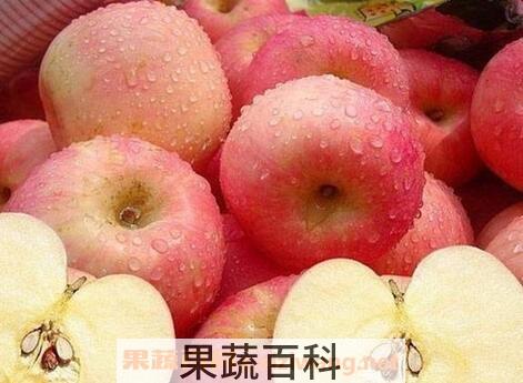 林檎果的功效与作用