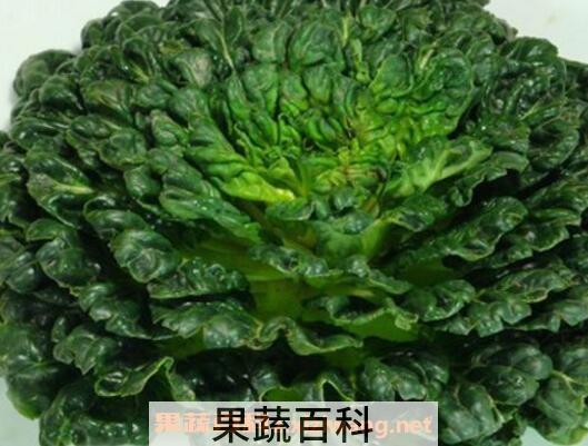 塔菜的功效与作用
